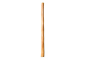 Medium Size Natural Finish Didgeridoo (TW1664)
